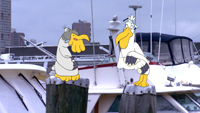 pelicansclouds