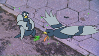 Pigeonspark